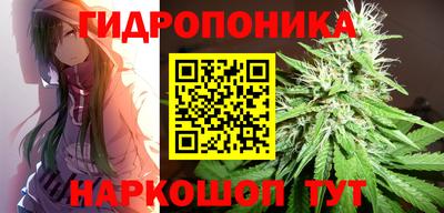 прущие крисы Ачхой-Мартан