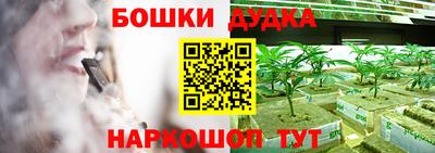 твердый Бердск