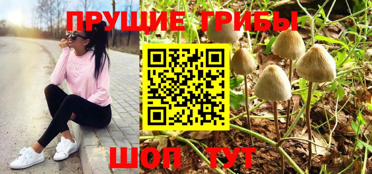 Артёмовский  Псилоцибиновые грибы ЛСД  Вход с VPN  Галлюциногенные грибы Cubensis 